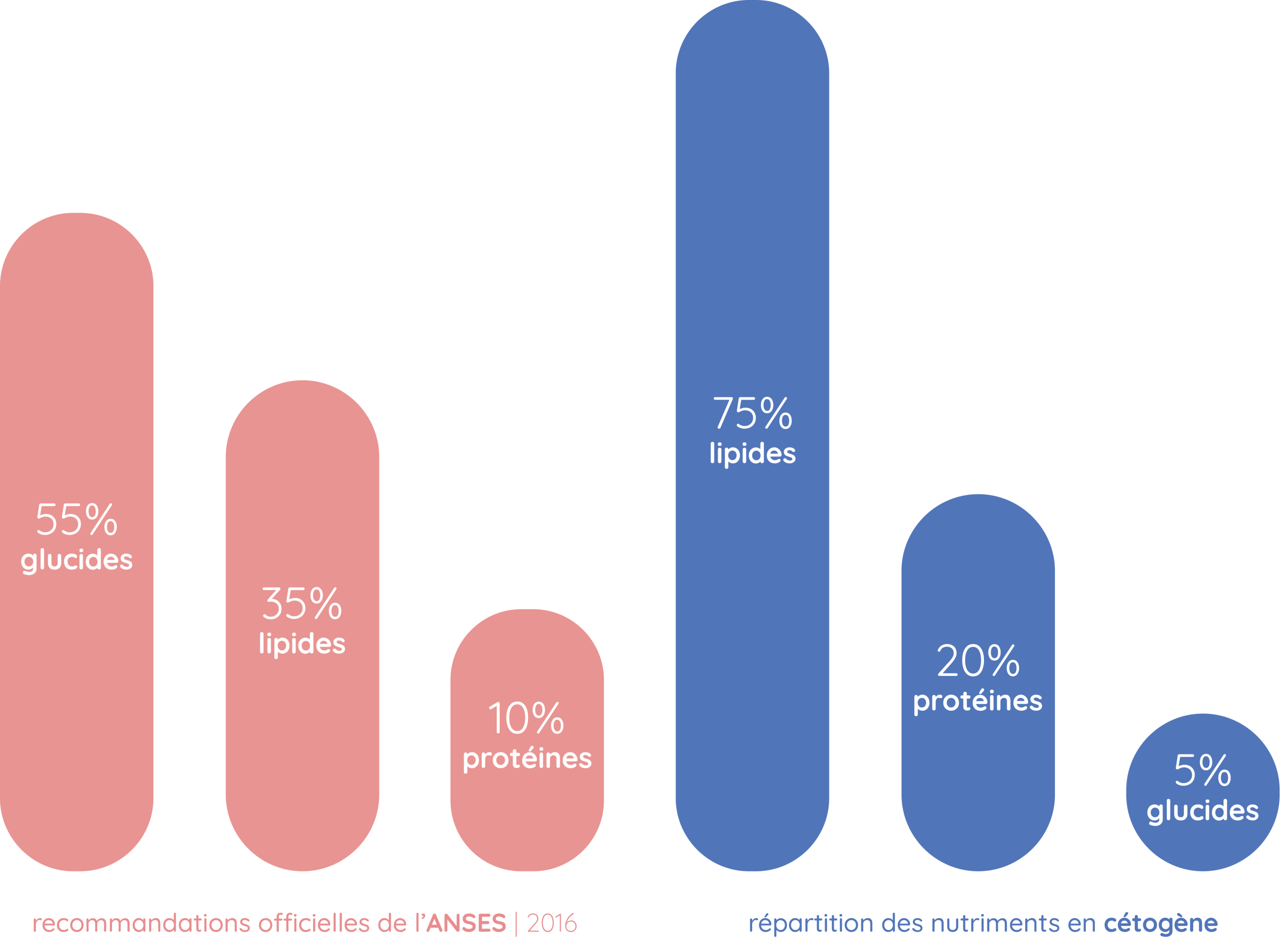 Macros Keto | 5% de Glucides - 25% de Protéines - 70% de Lipides 